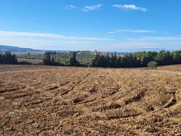 Land Of 13600 M² In Kassandra, Chalkidiki