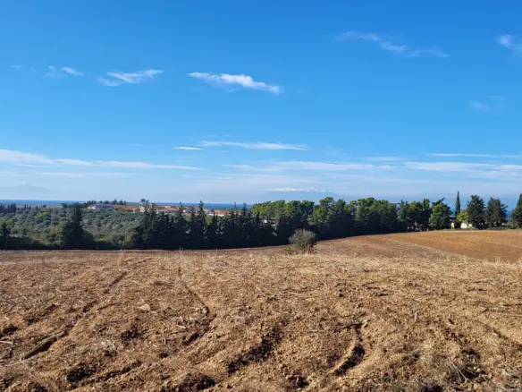Land Of 13600 M² In Kassandra, Chalkidiki