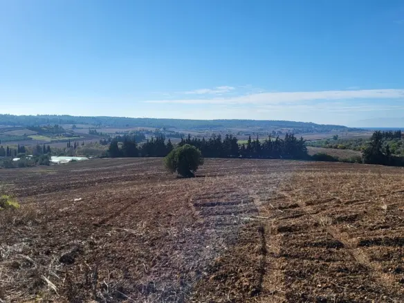Land Of 13600 M² In Kassandra, Chalkidiki