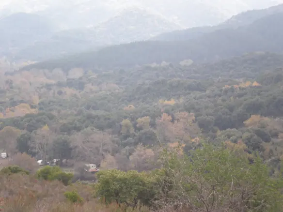 Land Of 4785000 M² In Athos, Chalkidiki