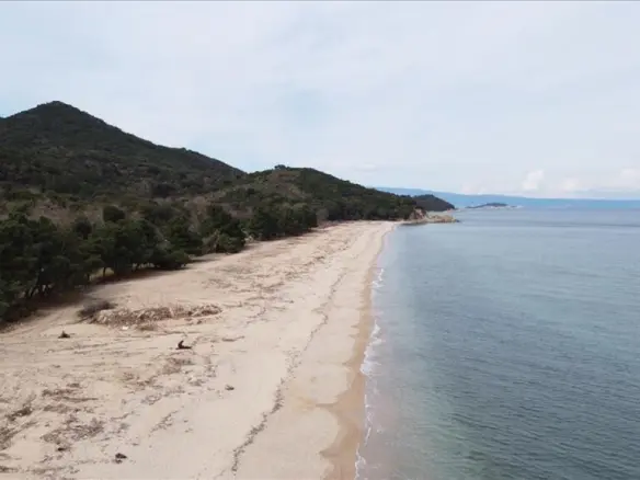 Land Of 4785000 M² In Athos, Chalkidiki