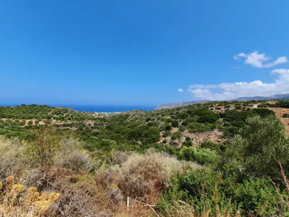 Land Of 9363 M² In Crete