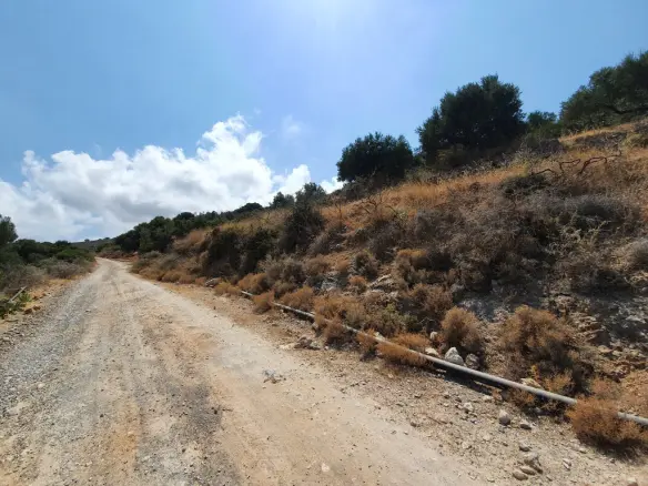 Land Of 9363 M² In Crete