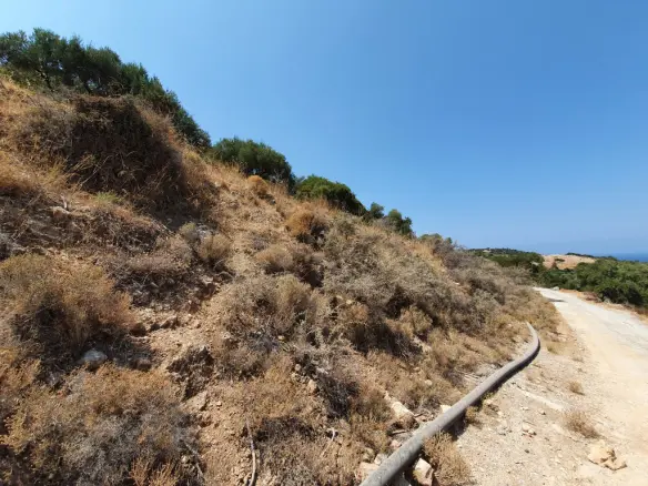 Land Of 9363 M² In Crete