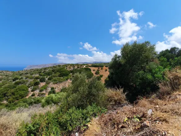 Land Of 9363 M² In Crete
