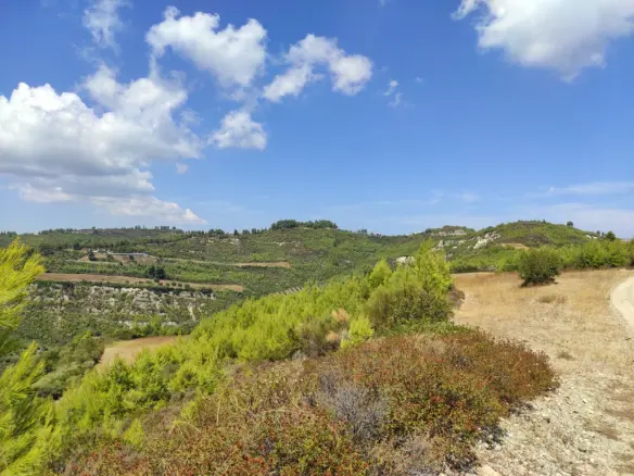 Land Of 24215 M² In Kassandra, Chalkidiki