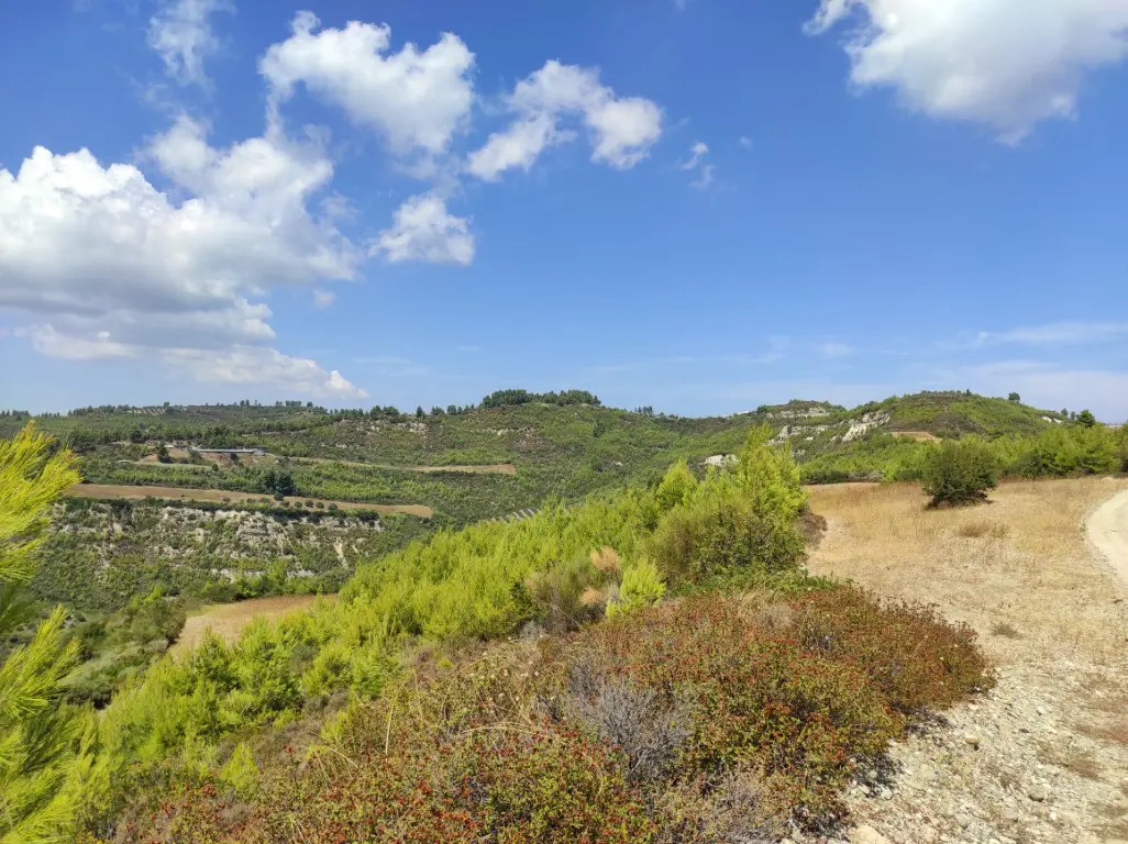 Land Of 24215 M² In Kassandra, Chalkidiki