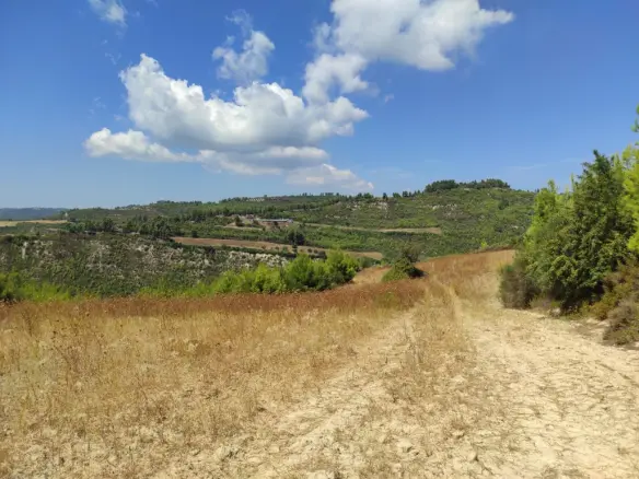 Land Of 24215 M² In Kassandra, Chalkidiki