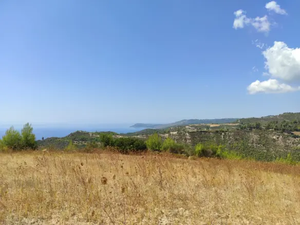 Land Of 24215 M² In Kassandra, Chalkidiki