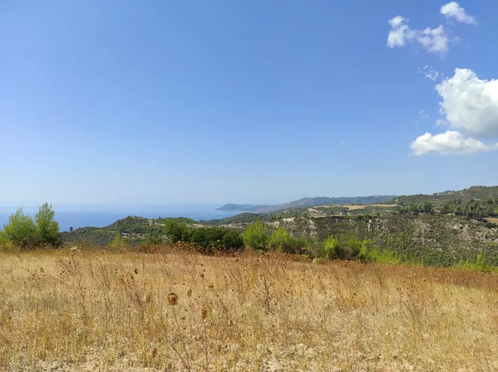 Land Of 24215 M² In Kassandra, Chalkidiki