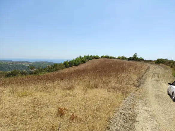 Land Of 24215 M² In Kassandra, Chalkidiki