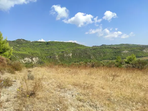 Land Of 24215 M² In Kassandra, Chalkidiki