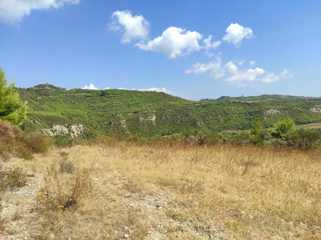 Land Of 24215 M² In Kassandra, Chalkidiki