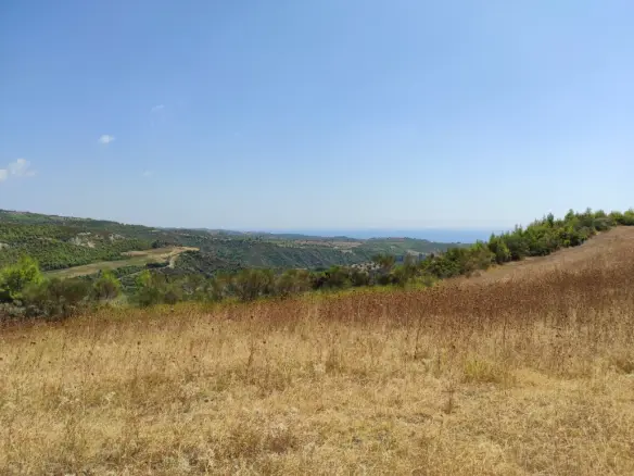 Land Of 24215 M² In Kassandra, Chalkidiki