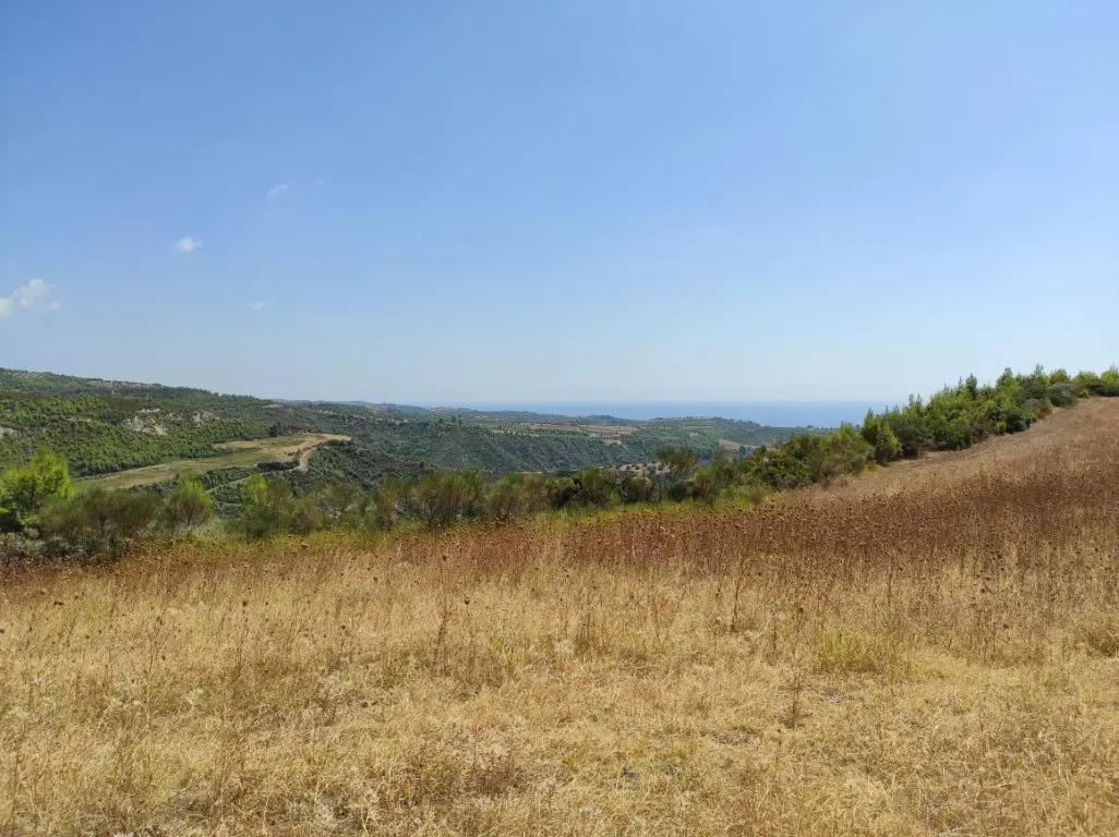 Land Of 24215 M² In Kassandra, Chalkidiki