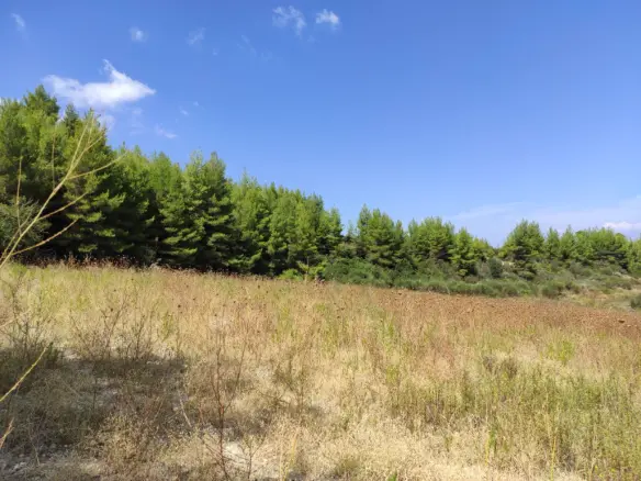 Land Of 5280 M² In Kassandra, Chalkidiki
