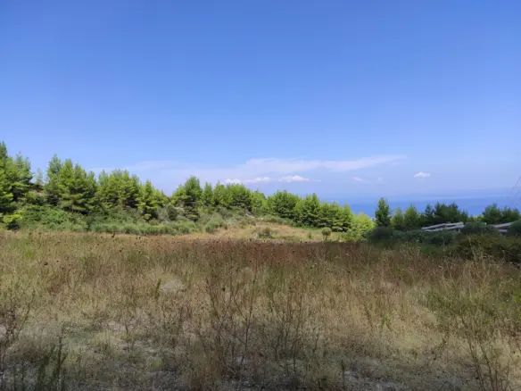 Land Of 5280 M² In Kassandra, Chalkidiki