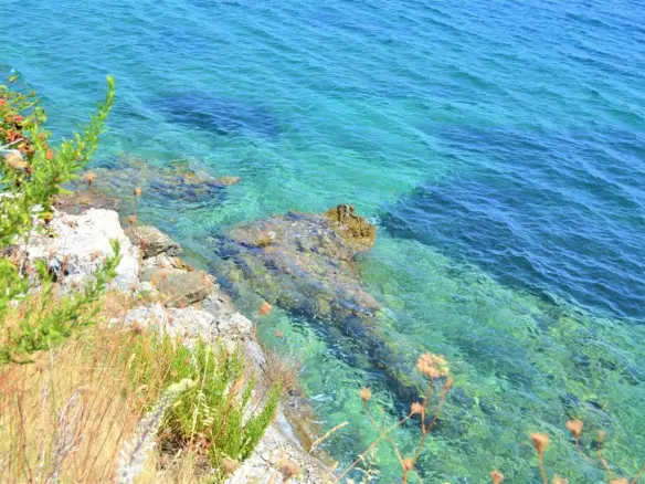 Land Of 7700 M² In Corfu