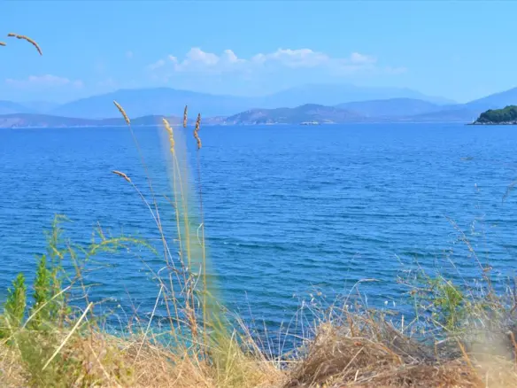 Land Of 7700 M² In Corfu