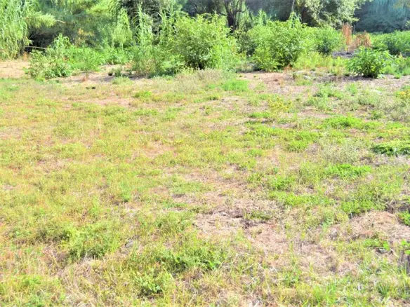 Land Of 3000 M² In Corfu