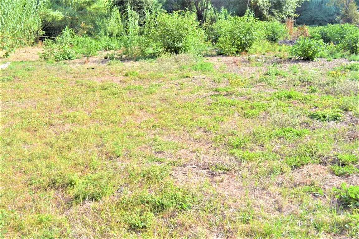 Land Of 3000 M² In Corfu