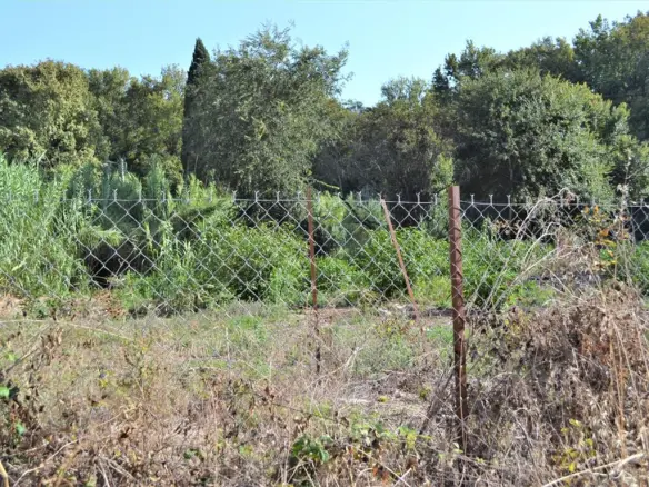 Land Of 3000 M² In Corfu