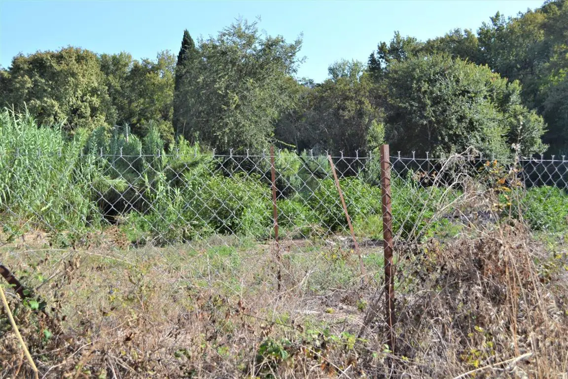 Land Of 3000 M² In Corfu