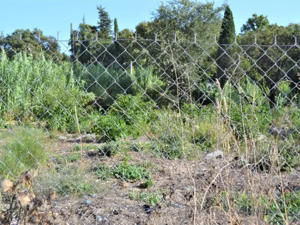 Land Of 3000 M² In Corfu