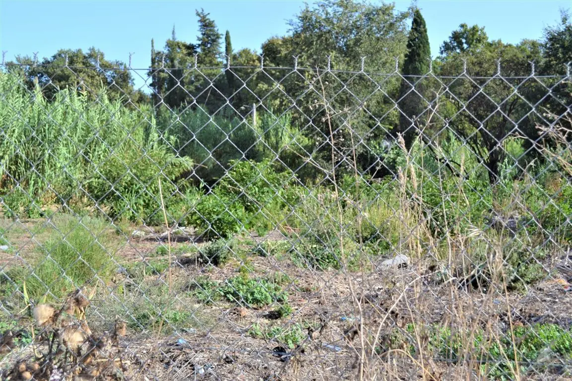 Land Of 3000 M² In Corfu