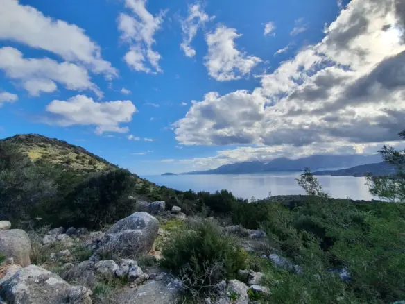 Land Of 49121 M² In Crete