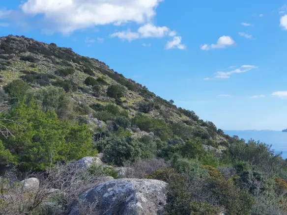 Land Of 49121 M² In Crete