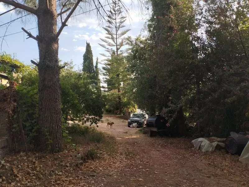 03-IMG_20240719_184928