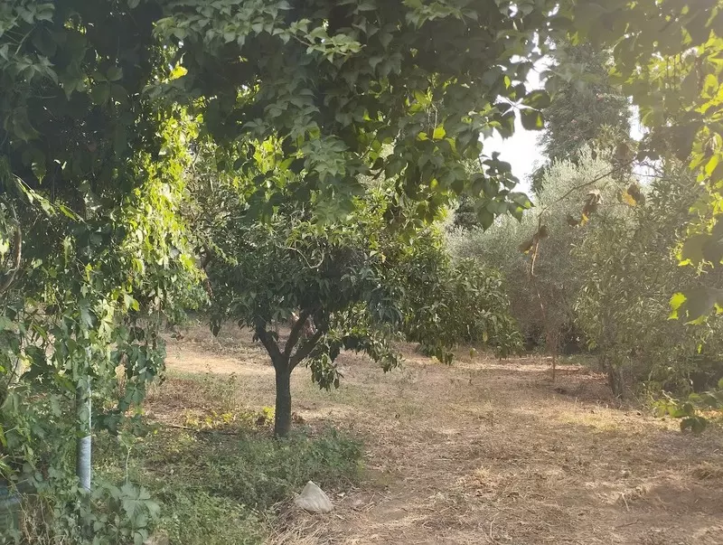 07-IMG_20240719_185032 – Αντιγραφή