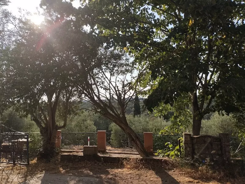 08-IMG_20240719_185058