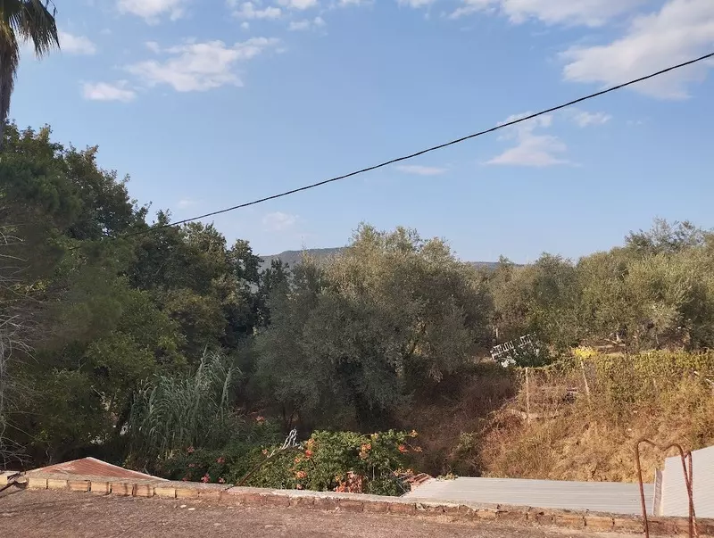 14-IMG_20240719_185621