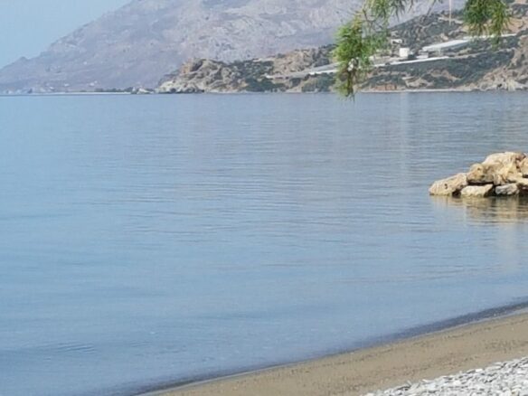 Plot Of 1200 M² With High Buildability In Kastri