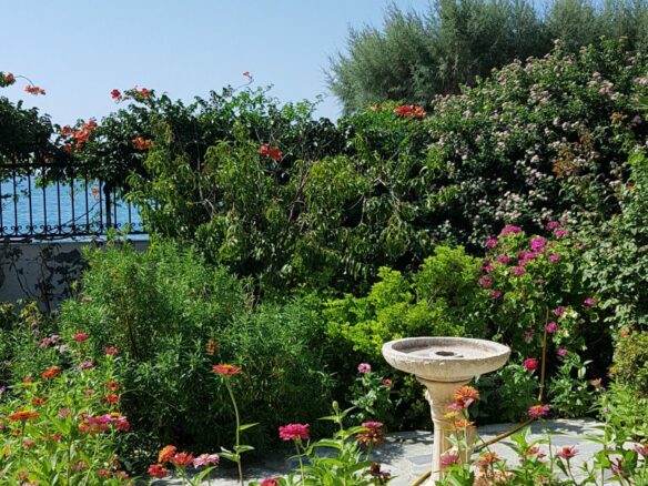 Plot Of 1200 M² With High Buildability In Kastri