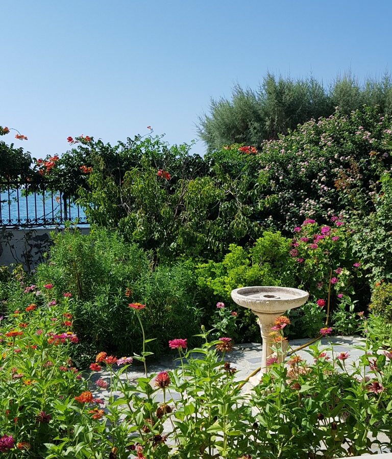 Plot Of 1200 M² With High Buildability In Kastri