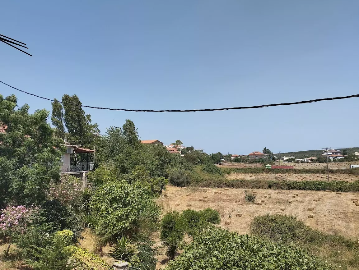 IMG_20240621_122720 (1)