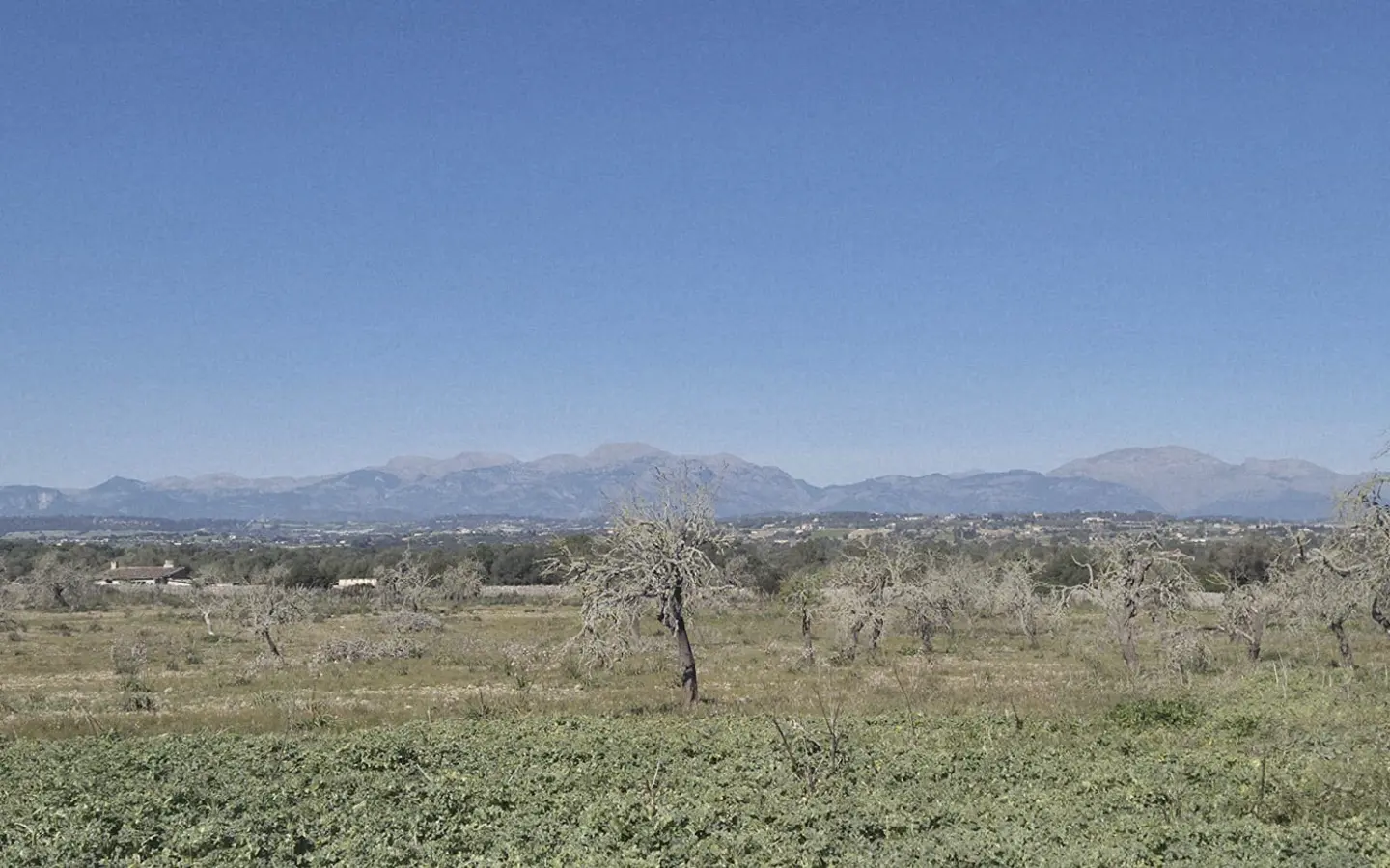 Land In Ariany, Spain (126 M²)