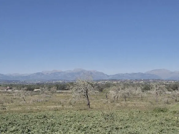 Land In Ariany, Spain (126 M²)