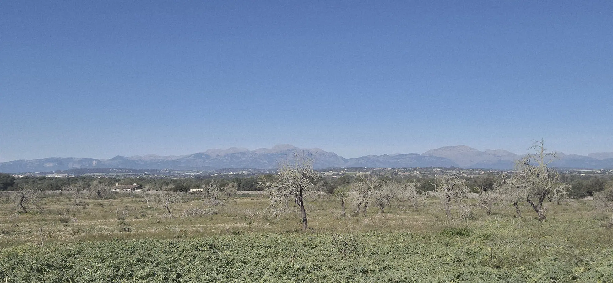 Land Of 126 M² In Ariany, Spain