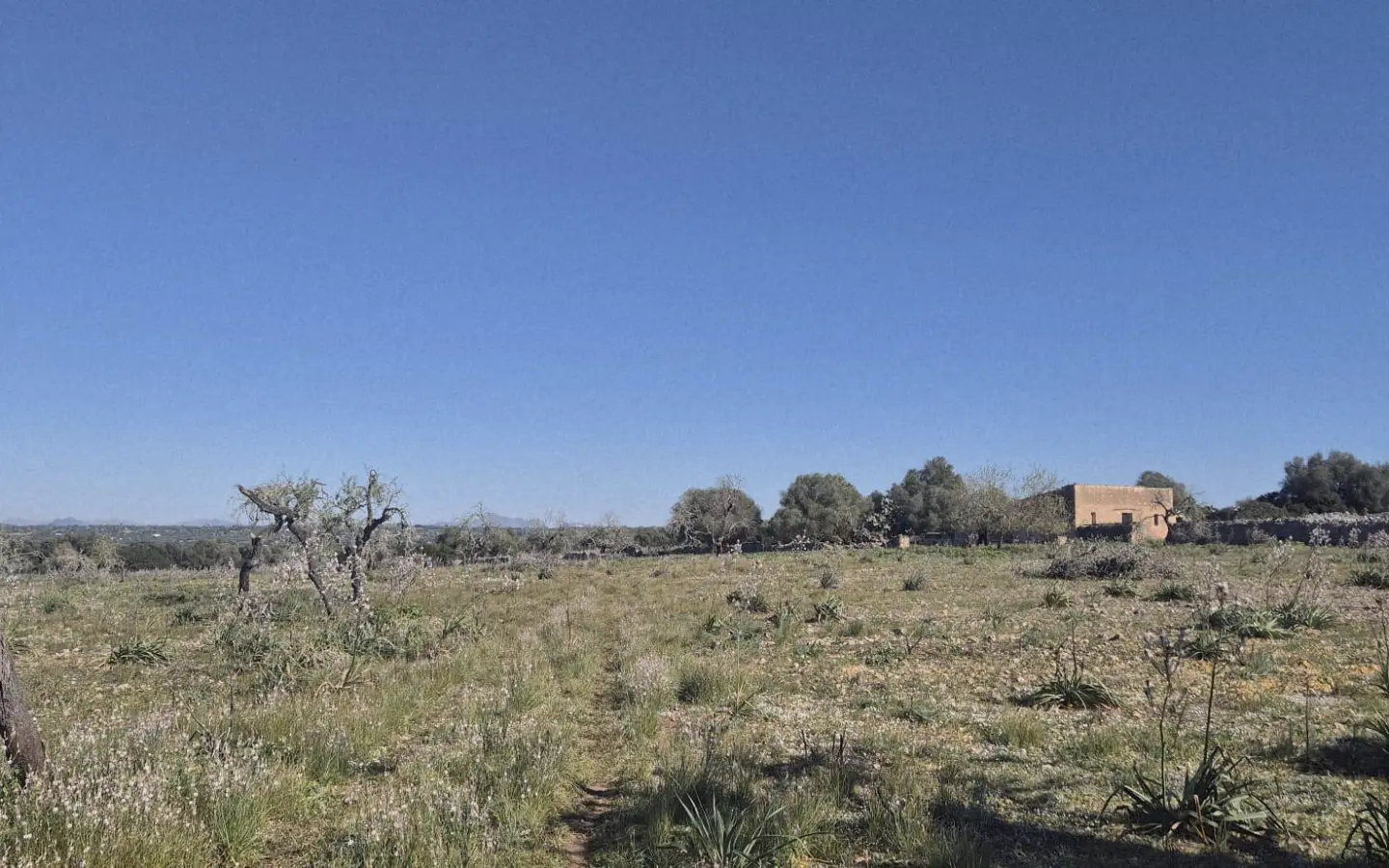 Land In Ariany, Spain (126 M²)