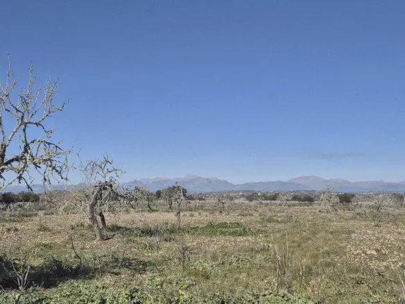 Land In Ariany, Spain (126 M²)