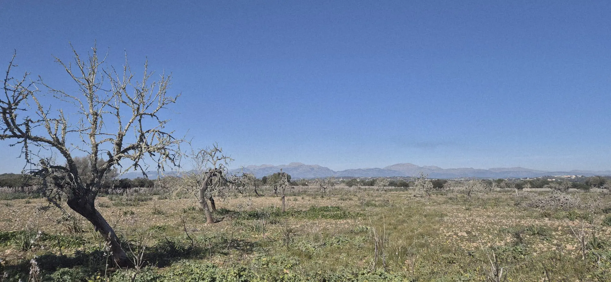 Land Of 126 M² In Ariany, Spain