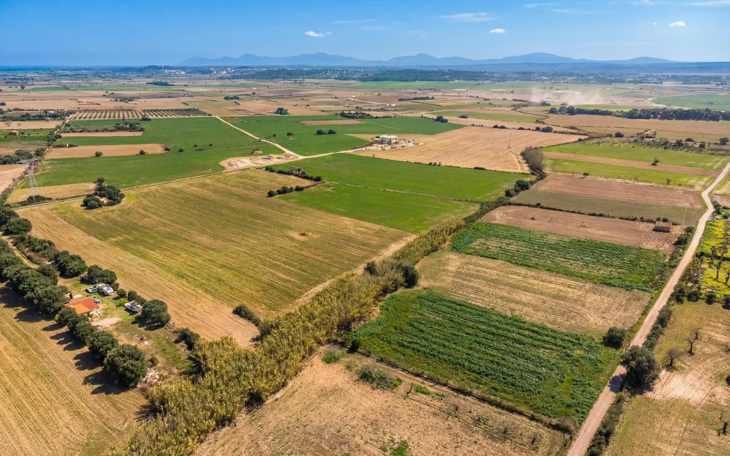Land In Llubi, Spain (80 M²)