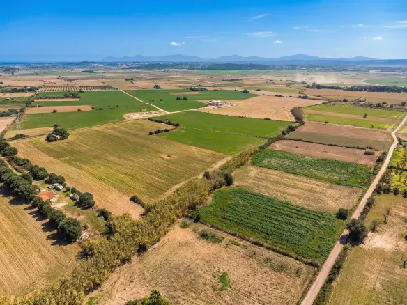 Land In Llubi, Spain (80 M²)