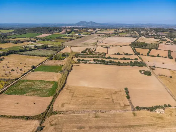 Land In Llubi, Spain (80 M²)