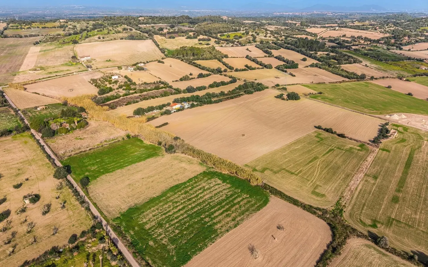 Land In Llubi, Spain (80 M²)