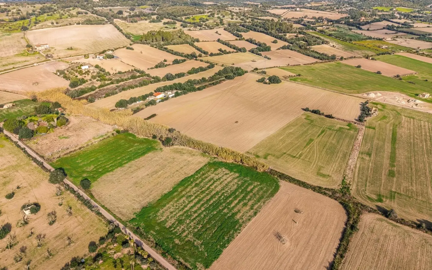 Land In Llubi, Spain (80 M²)